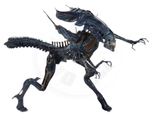 NECA Figurka Aliens - Xenomorph Alien Queen 38cm
