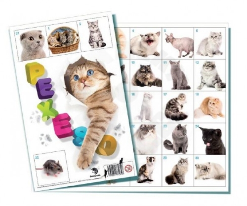 Bonaparte Pexeso Kočky společenská hra 32 obrázkových dvojic