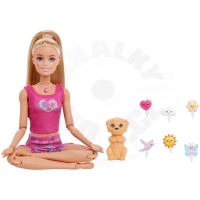 Barbie Meditační panenka JJN55