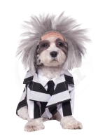 Kostým na pejska Beetlejuice S