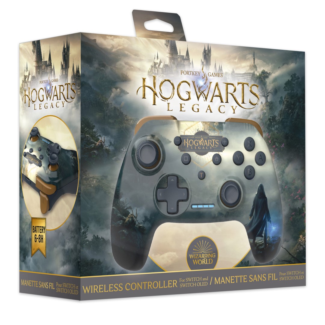 Hogwarts Legacy On Switch Is 